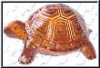 tortoise money box
