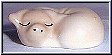 pig sleeping