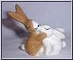 2 kissing rabbits